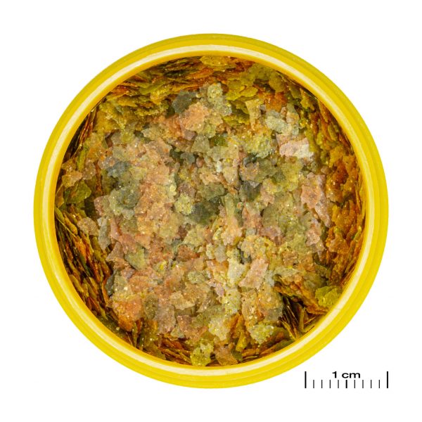 JBL PRONOVOBEL FLAKES S 100ML est un aliment prébiotique pour poissons d’aquarium, enrichi en ail, favorise une digestion saine en nourrissant les bactéries intestinales bénéfiques.