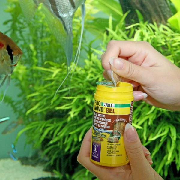 JBL PRONOVOBEL FLAKES S 100ML est un aliment prébiotique pour poissons d’aquarium, enrichi en ail, favorise une digestion saine en nourrissant les bactéries intestinales bénéfiques.