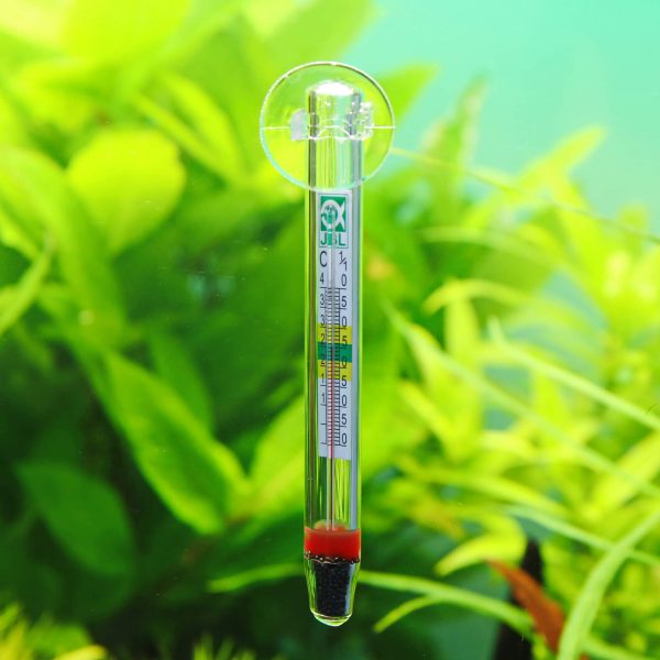 Thermomètre avec ventouse JBL