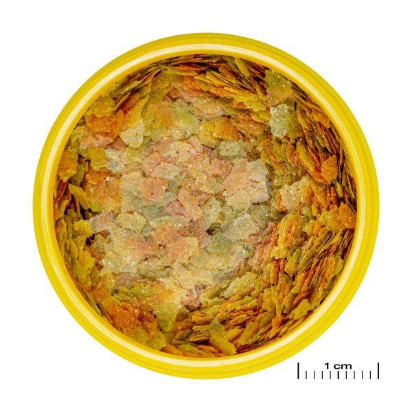 JBL ProNovo Betta Flakes S 100ml est une nourriture en flocons spécialement conçue pour les poissons Betta.