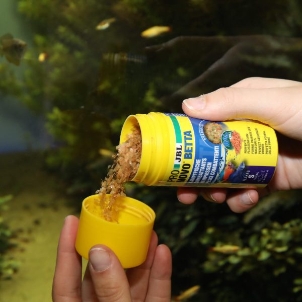 JBL ProNovo Betta Flakes S 100ml est une nourriture en flocons spécialement conçue pour les poissons Betta.