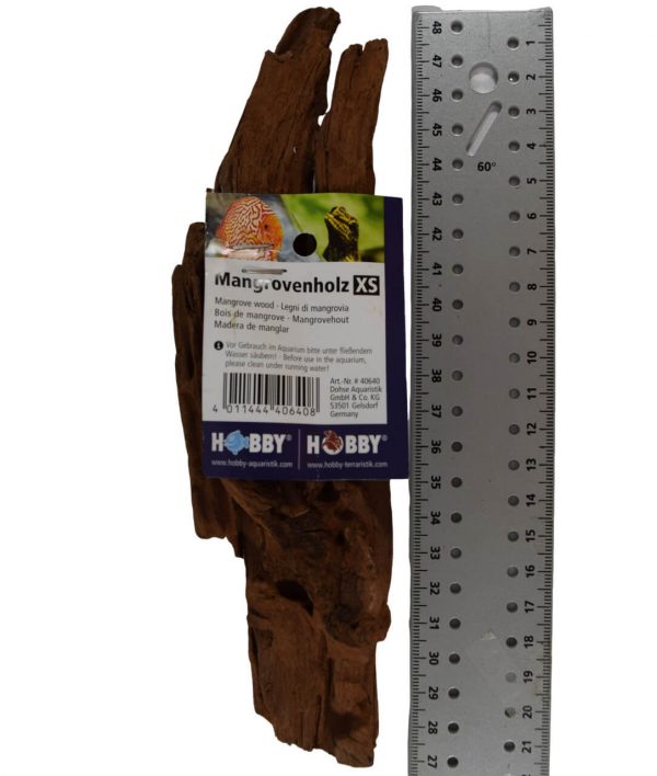 Racine mangrove XS 12-15CM HOBBY