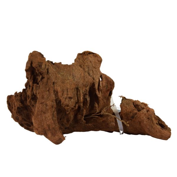 Racine mangrove XS 12-15CM HOBBY