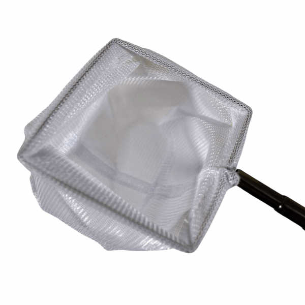 Épuisette téléscopique 6.5cm