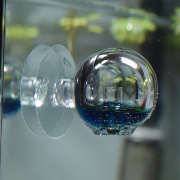 Drop checker boule